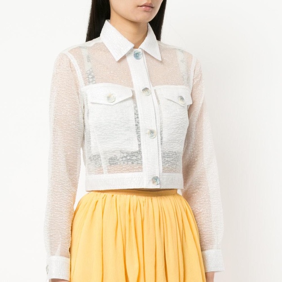 Maryam Nassir Zadeh Tops - Maryam Nassir Zadeh Sheer Button Down Crop Jacket